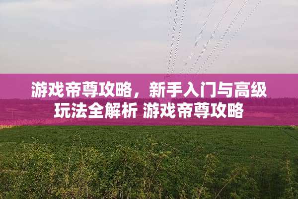 游戏帝尊攻略，新手入门与高级玩法全解析 游戏帝尊攻略