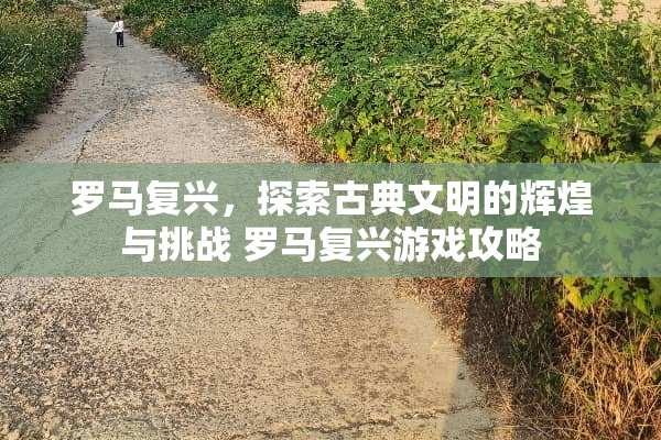 罗马复兴，探索古典文明的辉煌与挑战 罗马复兴游戏攻略