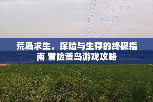 荒岛求生，探险与生存的终极指南 冒险荒岛游戏攻略