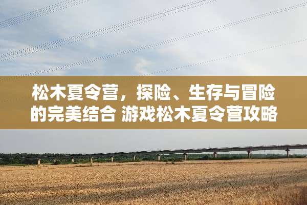 松木夏令营，探险、生存与冒险的完美结合 游戏松木夏令营攻略