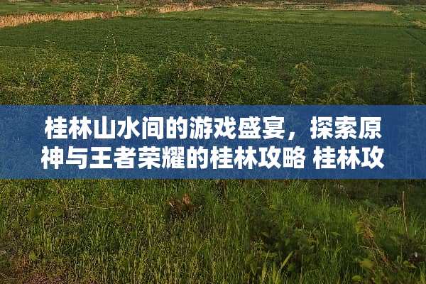 桂林山水间的游戏盛宴，探索原神与王者荣耀的桂林攻略 桂林攻略游戏推荐