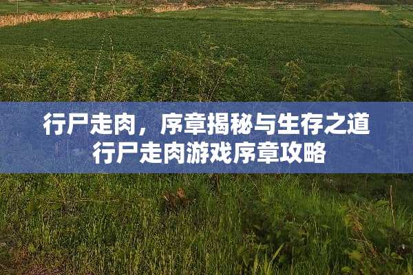 行尸走肉，序章揭秘与生存之道 行尸走肉游戏序章攻略