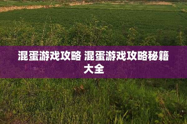 混蛋游戏攻略 混蛋游戏攻略秘籍大全
