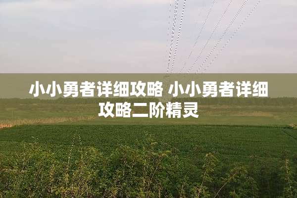 小小勇者详细攻略 小小勇者详细攻略二阶精灵