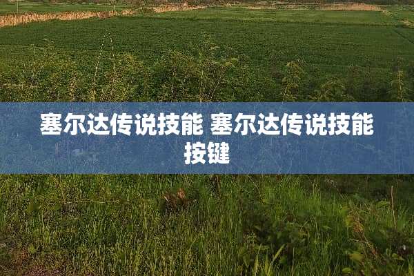 塞尔达传说技能 塞尔达传说技能按键