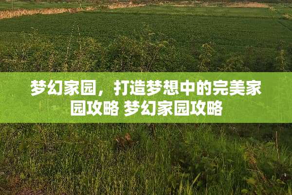 梦幻家园，打造梦想中的完美家园攻略 梦幻家园攻略