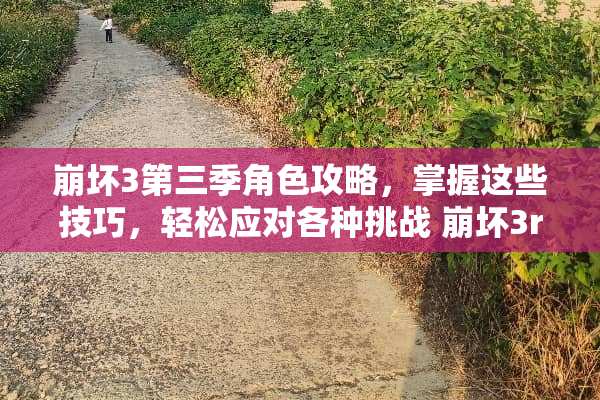崩坏3第三季角色攻略，掌握这些技巧，轻松应对各种挑战 崩坏3rd攻略
