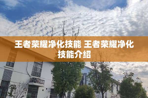 王者荣耀净化技能 王者荣耀净化技能介绍