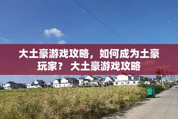 大土豪游戏攻略，如何成为土豪玩家？ 大土豪游戏攻略