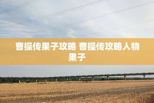 曹操传果子攻略 曹操传攻略人物果子
