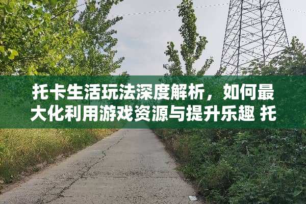 托卡生活玩法深度解析，如何最大化利用游戏资源与提升乐趣 托卡生活玩法
