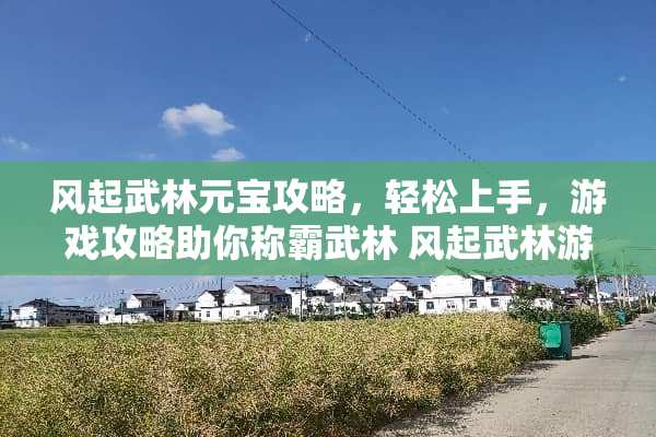 风起武林元宝攻略，轻松上手，游戏攻略助你称霸武林 风起武林游戏元宝攻略