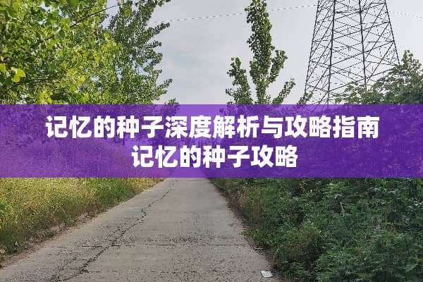 记忆的种子深度解析与攻略指南 记忆的种子攻略