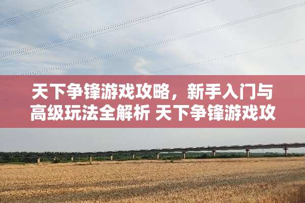 天下争锋游戏攻略，新手入门与高级玩法全解析 天下争锋游戏攻略