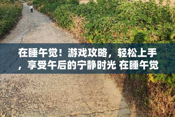 在睡午觉！游戏攻略，轻松上手，享受午后的宁静时光 在睡午觉游戏攻略