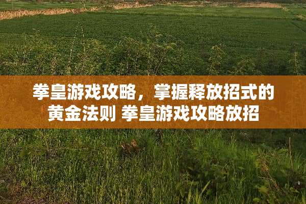 拳皇游戏攻略，掌握释放招式的黄金法则 拳皇游戏攻略放招