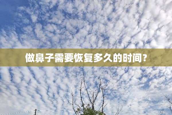 做鼻子需要恢复多久的时间？
