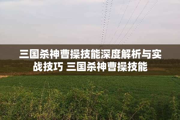 三国杀神曹操技能深度解析与实战技巧 三国杀神曹操技能