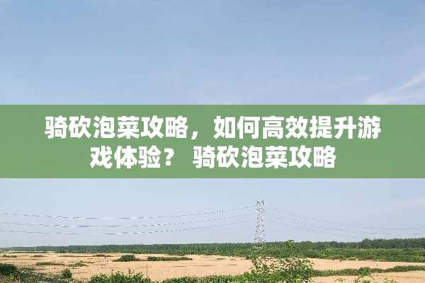骑砍泡菜攻略，如何高效提升游戏体验？ 骑砍泡菜攻略