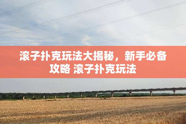 滚子**玩法大揭秘，新手必备攻略 滚子**玩法