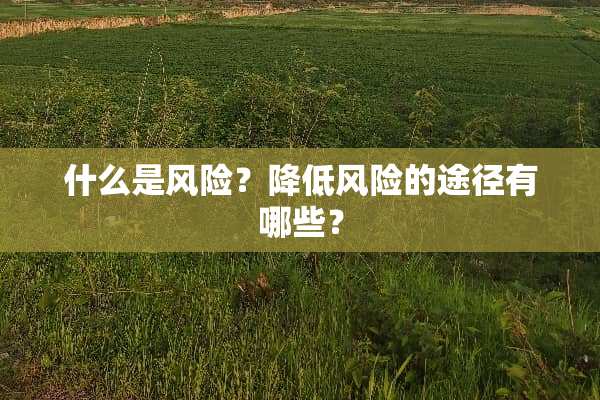 什么是风险？降低风险的途径有哪些？