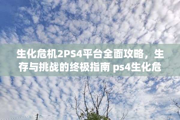 生化危机2PS4平台全面攻略，生存与挑战的终极指南 ps4生化危机2攻略