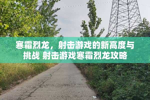 寒霜烈龙，射击游戏的新高度与挑战 射击游戏寒霜烈龙攻略