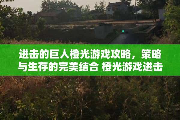 进击的巨人橙光游戏攻略，策略与生存的完美结合 橙光游戏进击的巨人攻略