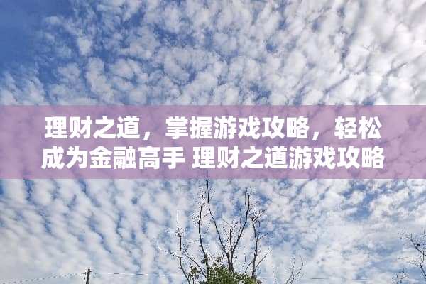 理财之道，掌握游戏攻略，轻松成为金融高手 理财之道游戏攻略