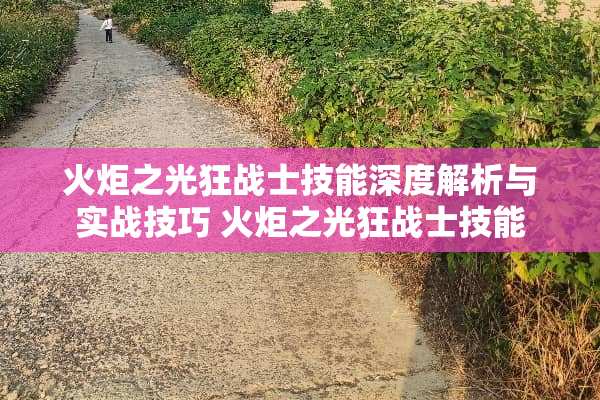 火炬之光狂战士技能深度解析与实战技巧 火炬之光狂战士技能