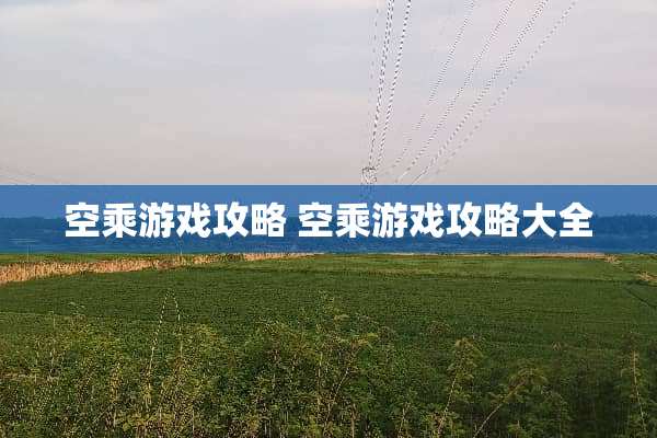 空乘游戏攻略 空乘游戏攻略大全