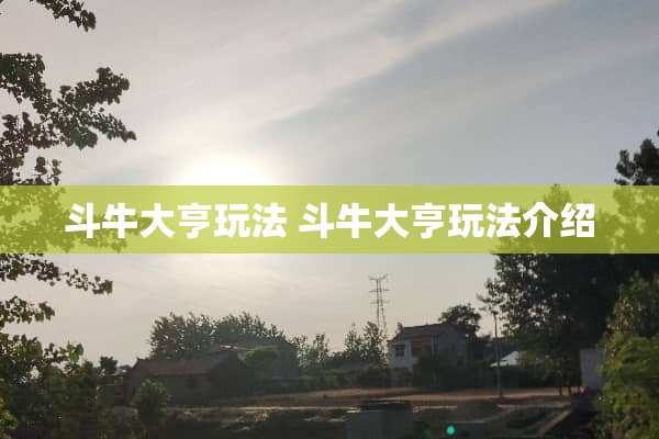 斗牛大亨玩法 斗牛大亨玩法介绍
