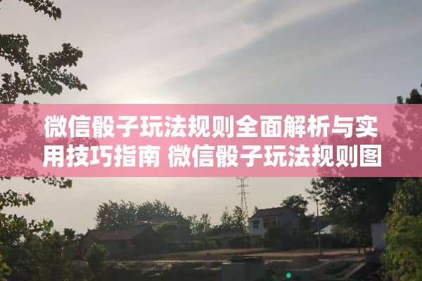 微信**玩法规则全面解析与实用技巧指南 微信**玩法规则图