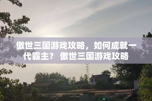 傲世三国游戏攻略，如何成就一代霸主？ 傲世三国游戏攻略