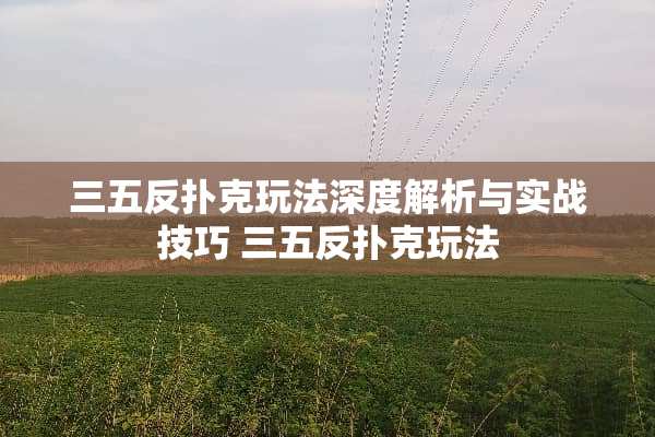 三五反**玩法深度解析与实战技巧 三五反**玩法