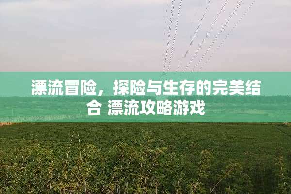 漂流冒险，探险与生存的完美结合 漂流攻略游戏