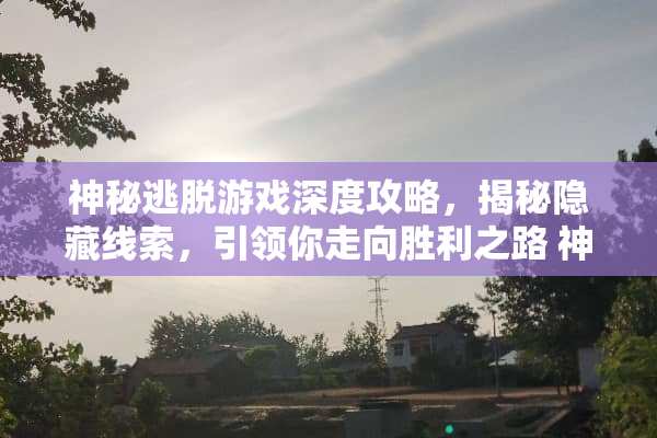 神秘逃脱游戏深度攻略，揭秘隐藏线索，引领你走向胜利之路 神秘逃脱游戏攻略