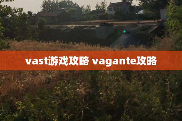 vast游戏攻略 vagante攻略