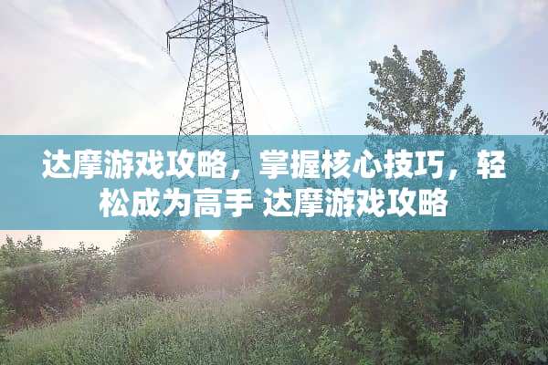 达摩游戏攻略，掌握核心技巧，轻松成为高手 达摩游戏攻略