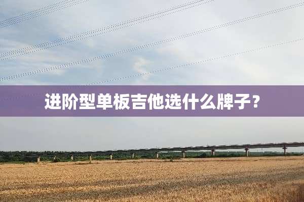 进阶型单板吉他选什么牌子？