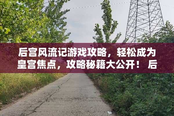 后宫**记游戏攻略，轻松成为皇宫焦点，攻略秘籍大公开！ 后宫**记游戏攻略