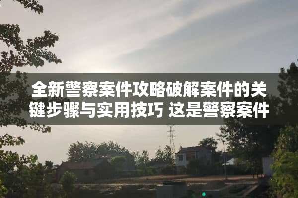 全新**案件攻略**案件的关键步骤与实用技巧 这是**案件攻略