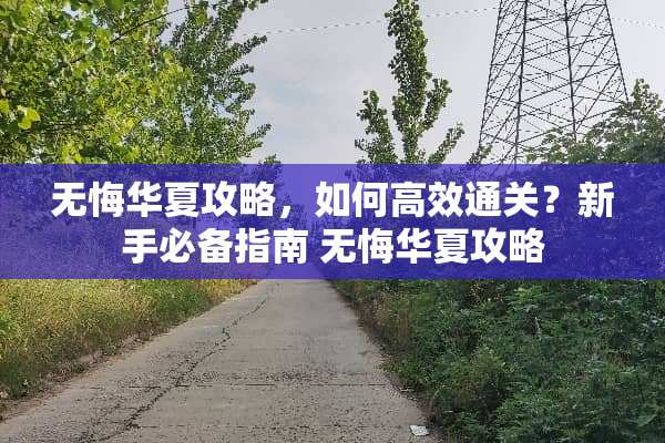 无悔华夏攻略，如何高效通关？新手必备指南 无悔华夏攻略