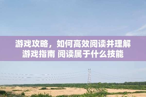 游戏攻略，如何高效阅读并理解游戏指南 阅读属于什么技能