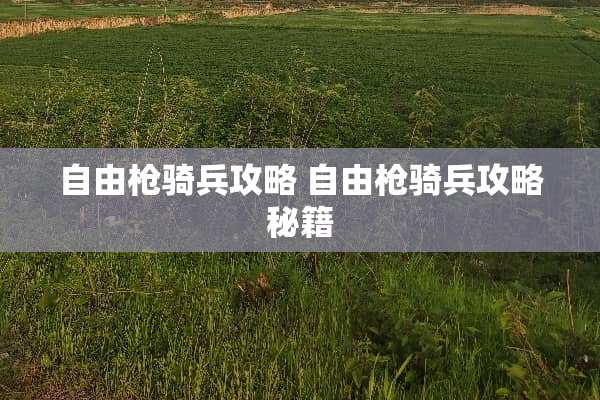 自由*骑兵攻略 自由*骑兵攻略秘籍
