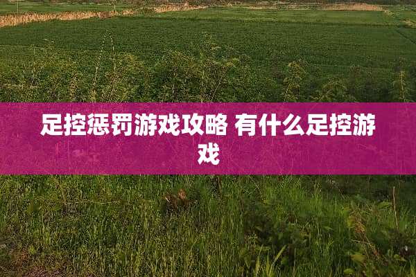 足控惩罚游戏攻略 有什么足控游戏
