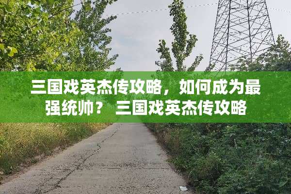 三国戏英杰传攻略，如何成为最强统帅？ 三国戏英杰传攻略