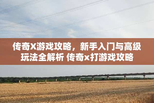 传奇X游戏攻略，新手入门与高级玩法全解析 传奇x打游戏攻略