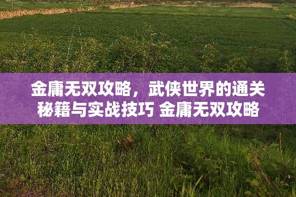 金庸无双攻略，武侠世界的通关秘籍与实战技巧 金庸无双攻略