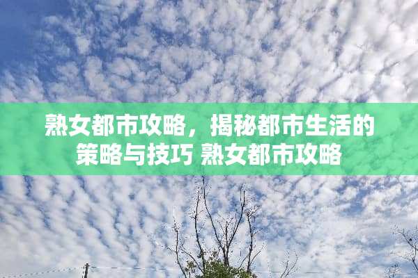 **都市攻略，揭秘都市生活的策略与技巧 **都市攻略